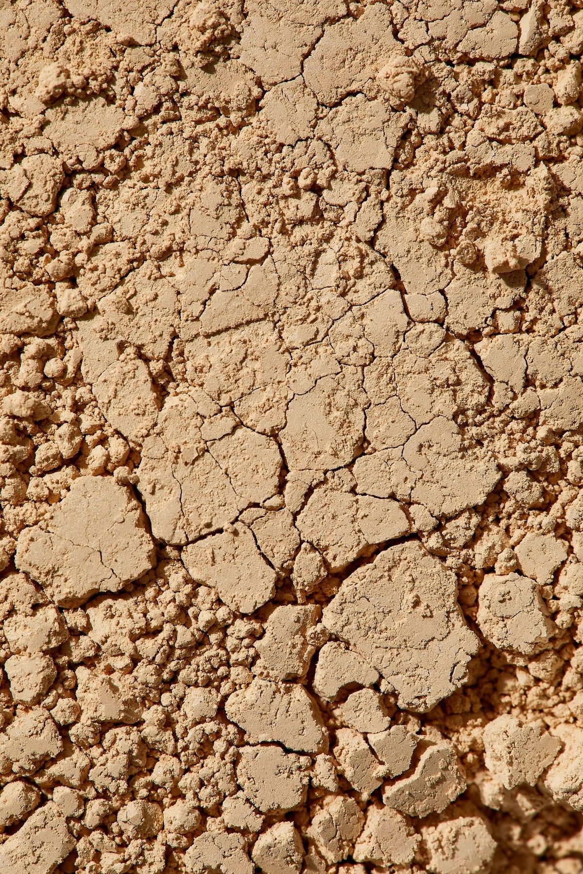 Hair Strengthening Oil